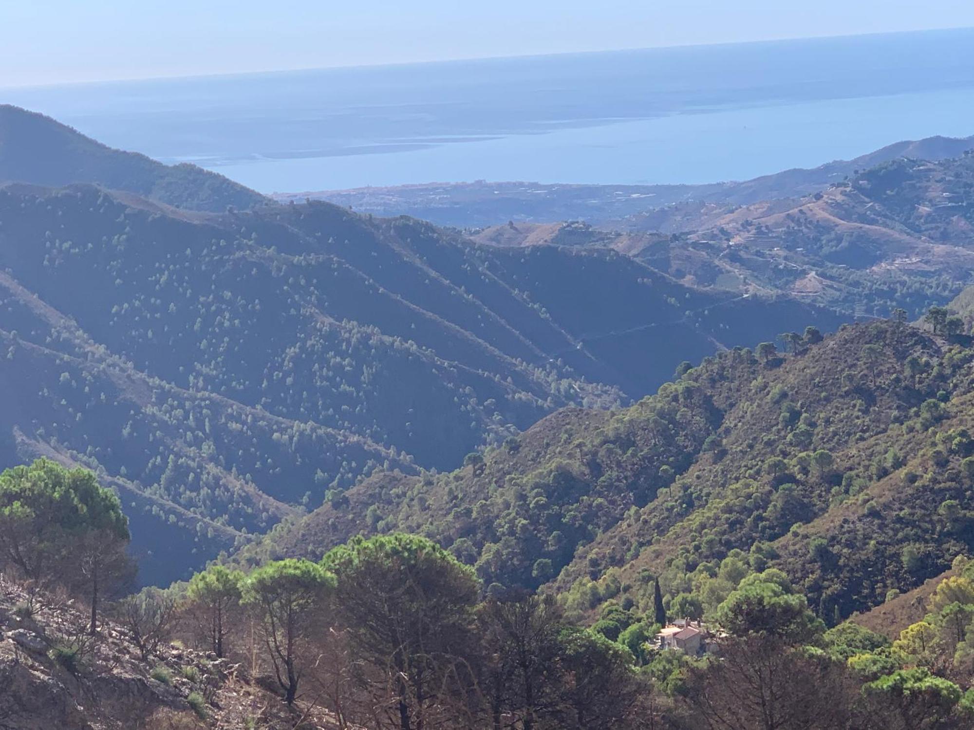 Finca El Almendro مالقة المظهر الخارجي الصورة
