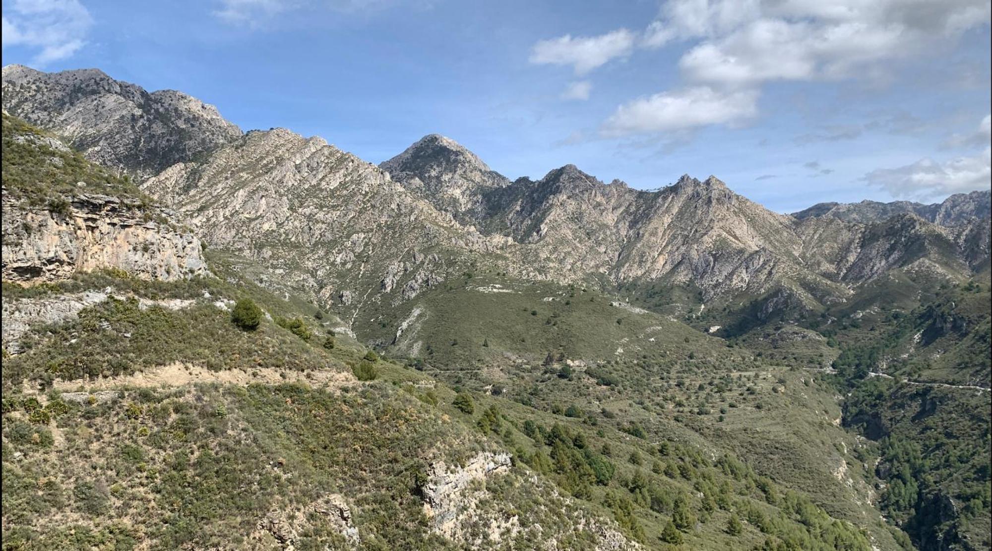 Finca El Almendro مالقة المظهر الخارجي الصورة